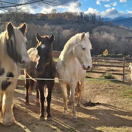 Chambre D'Hotes Le Petit Ranch Los Masos Kültér fotó