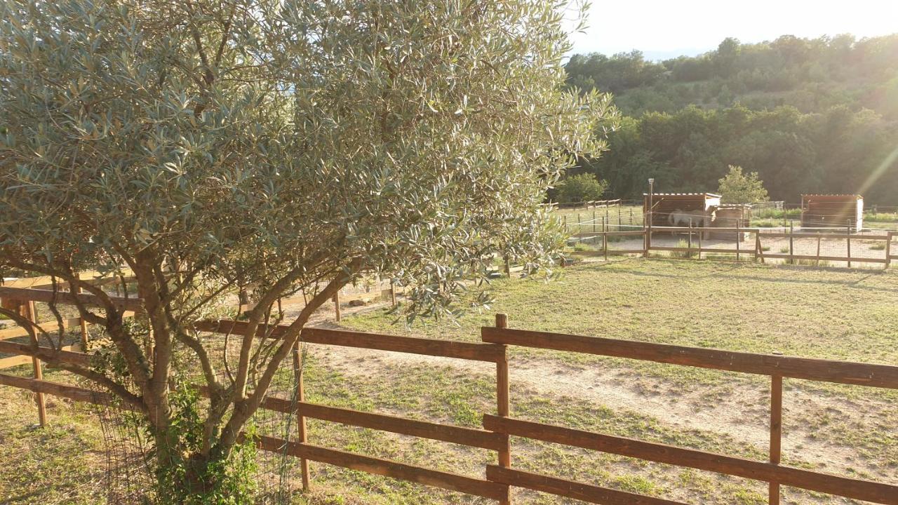 Chambre D'Hotes Le Petit Ranch Los Masos Kültér fotó