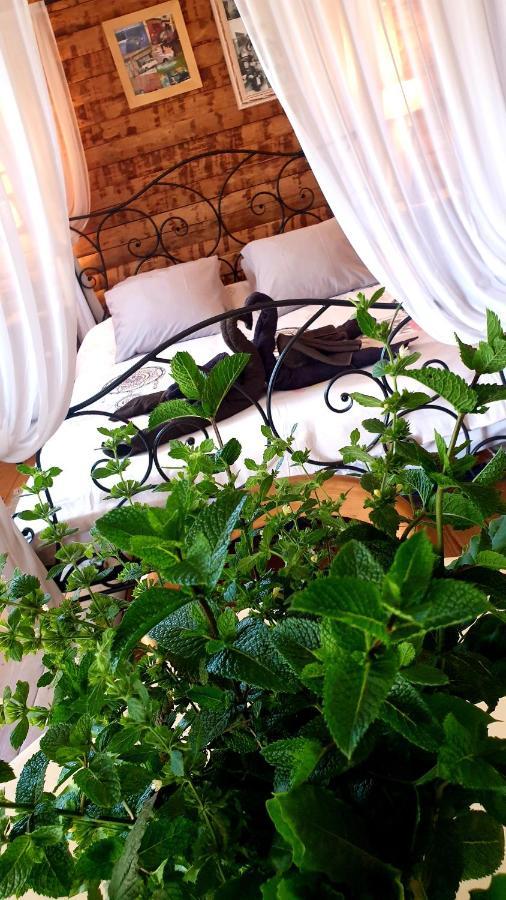 Chambre D'Hotes Le Petit Ranch Los Masos Kültér fotó