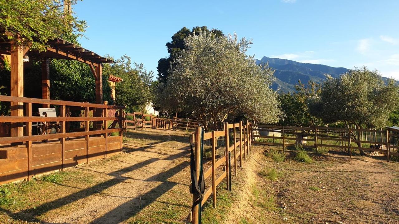 Chambre D'Hotes Le Petit Ranch Los Masos Kültér fotó
