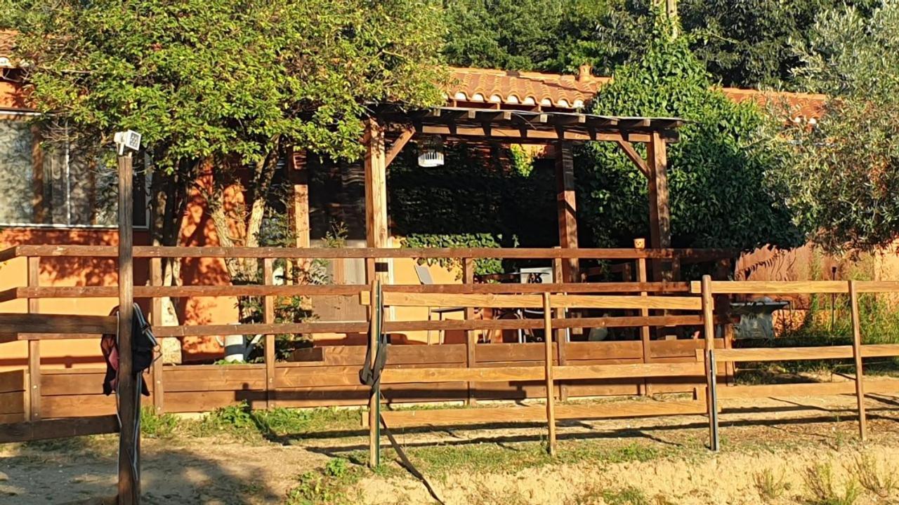 Chambre D'Hotes Le Petit Ranch Los Masos Kültér fotó