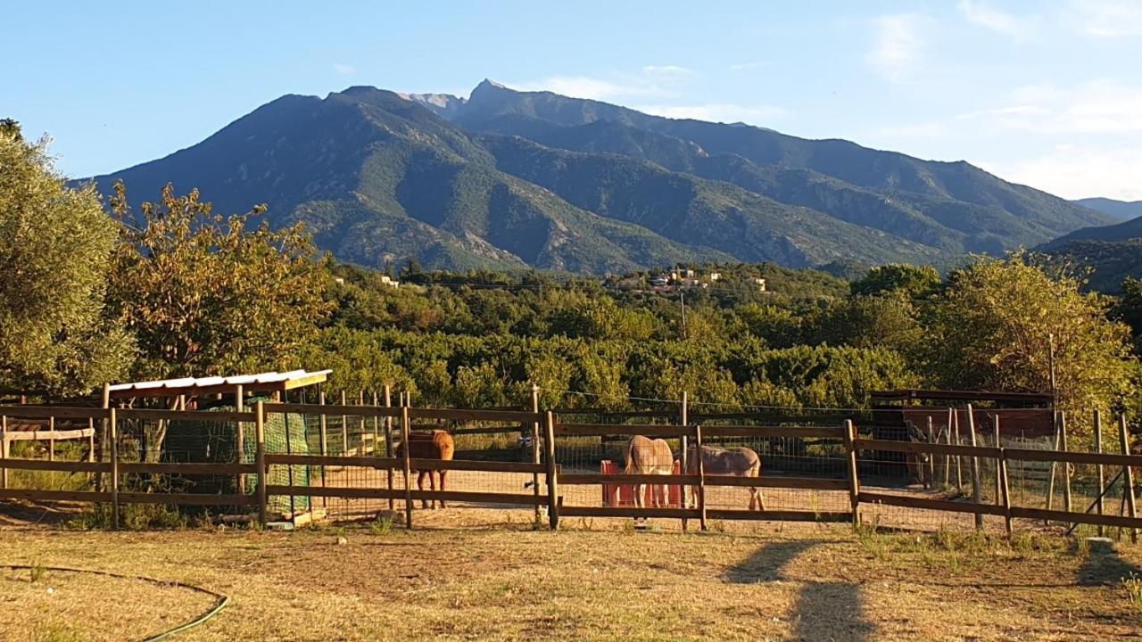 Chambre D'Hotes Le Petit Ranch Los Masos Kültér fotó