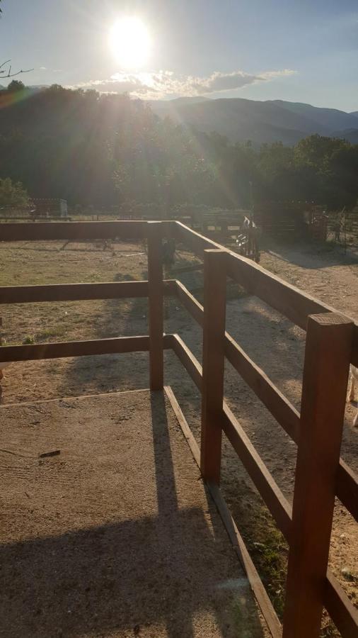 Chambre D'Hotes Le Petit Ranch Los Masos Kültér fotó
