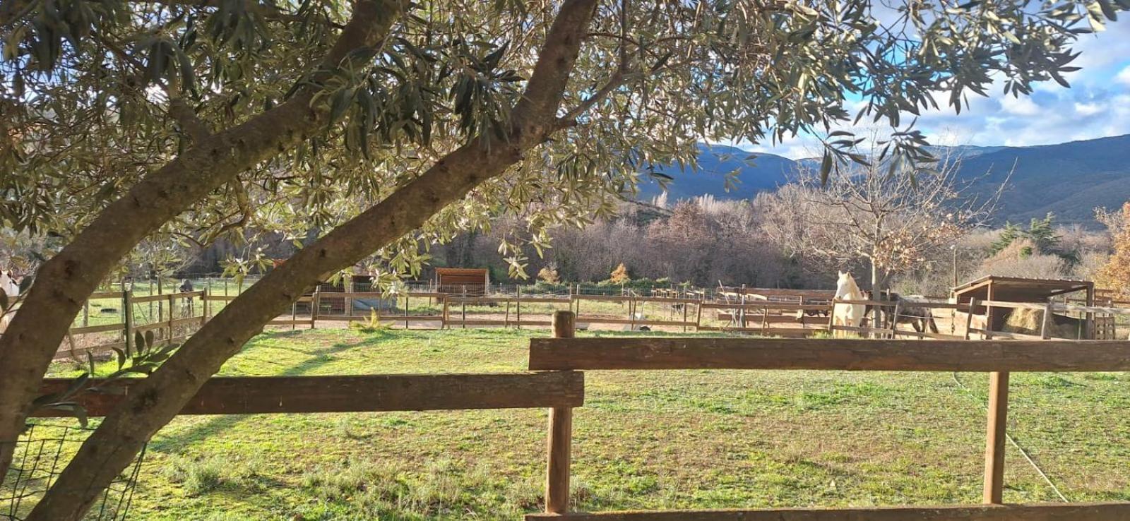 Chambre D'Hotes Le Petit Ranch Los Masos Kültér fotó